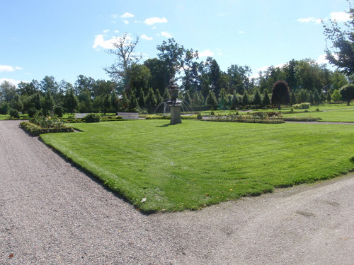 Back Yard Arena/Field/Lawn.